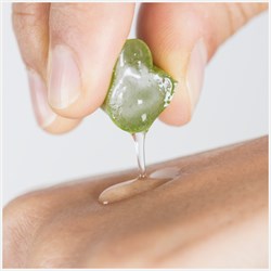 GEL D'ALOE PURO AL 99% BisouBio