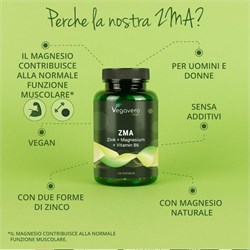 ZMA: ZINCO - MAGNESIO - VITAMINA B6 - INTEGRATORE Vegavero