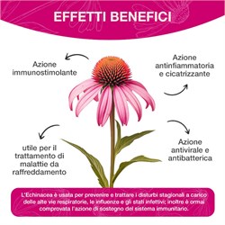 ECHINACEA TUS SOLUZIONE - INTEGRATORE Optima Naturals