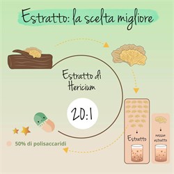 HERICIUM ESTRATTO - INTEGRATORE Vegavero