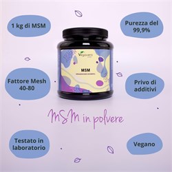 MSM IN POLVERE - INTEGRATORE Vegavero