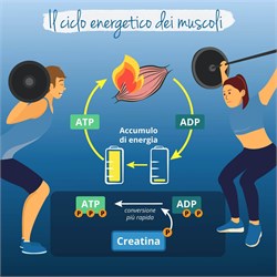 CREATINA MONOIDRATO - INTEGRATORE Vegavero