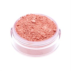 BLUSH DELHI Neve Cosmetics