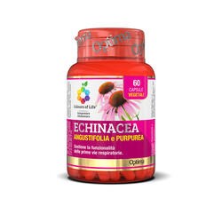 ECHINACEA - INTEGRATORE Optima Naturals