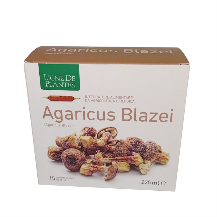 AGARICUS BLAZEI - INTEGRATORE Ligne De Plantes Ligne De Plantes