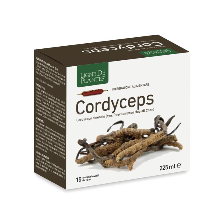 CORDYCEPS - INTEGRATORE Ligne De Plantes Ligne De Plantes