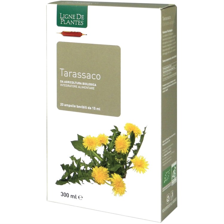 TARASSACO - INTEGRATORE Ligne De Plantes Ligne De Plantes